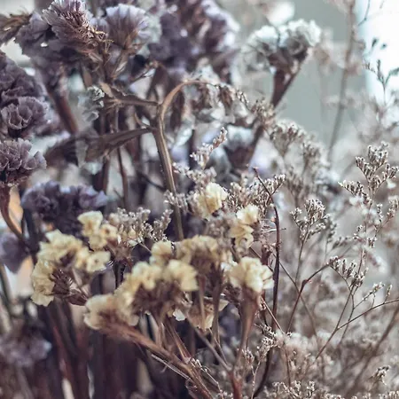 Apartment Con Vistas A La Ria