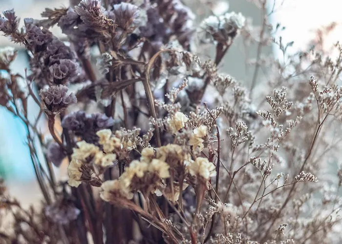 Apartman Con Vistas A La Ria